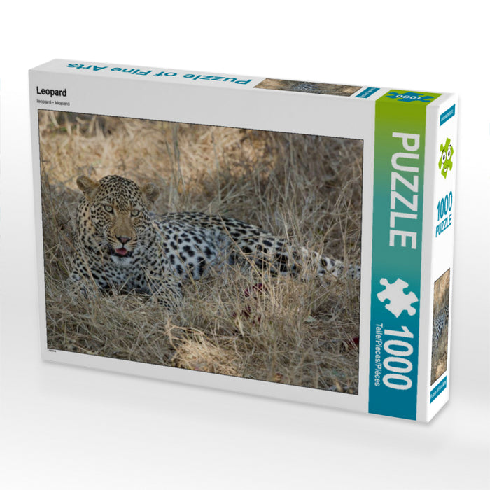 Leopard - CALVENDO Foto-Puzzle