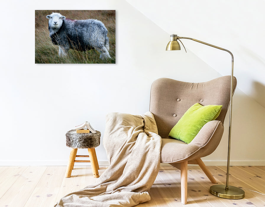 Toile textile premium Toile textile premium 75 cm x 50 cm paysage portrait de mouton 