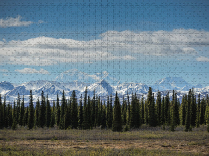 Im Denali, Alaska - CALVENDO Foto-Puzzle - calvendoverlag 29.99
