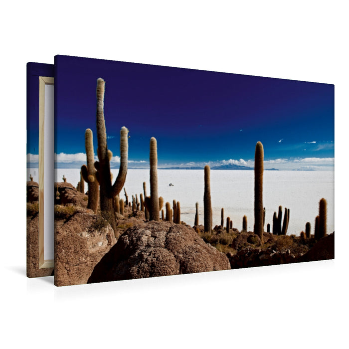 Toile textile haut de gamme Toile textile haut de gamme 120 cm x 80 cm de large Cactus géants sur une île du plus grand lac salé du monde, le Salar de Uyuni 