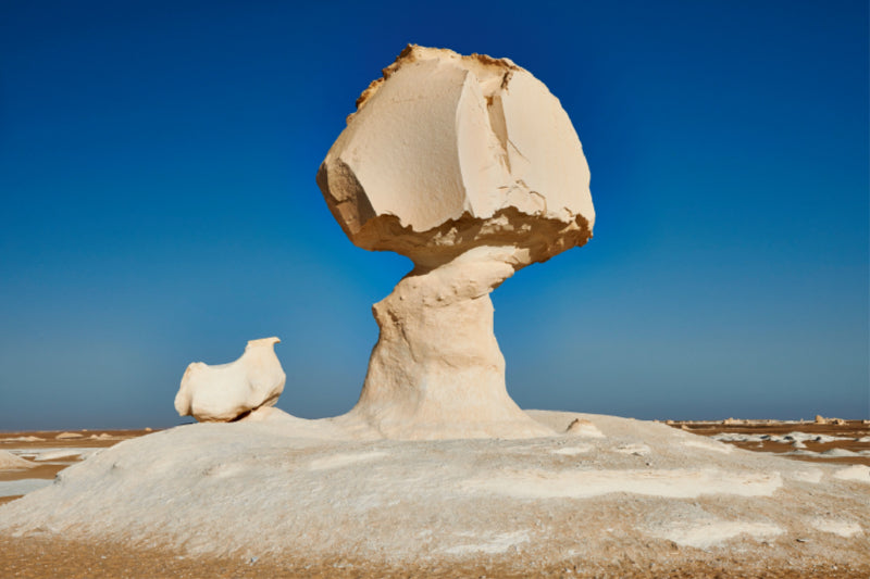 Toile textile haut de gamme Toile textile haut de gamme 120 cm x 80 cm paysage Formation de calcaire blanc poulet aux champignons (champignon), désert blanc près de l'oasis de Farafra, désert de Libye, Egypte, Afrique 