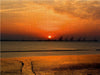 Sonnenuntergang am Jade-Weser-Port - CALVENDO Foto-Puzzle - calvendoverlag 29.99