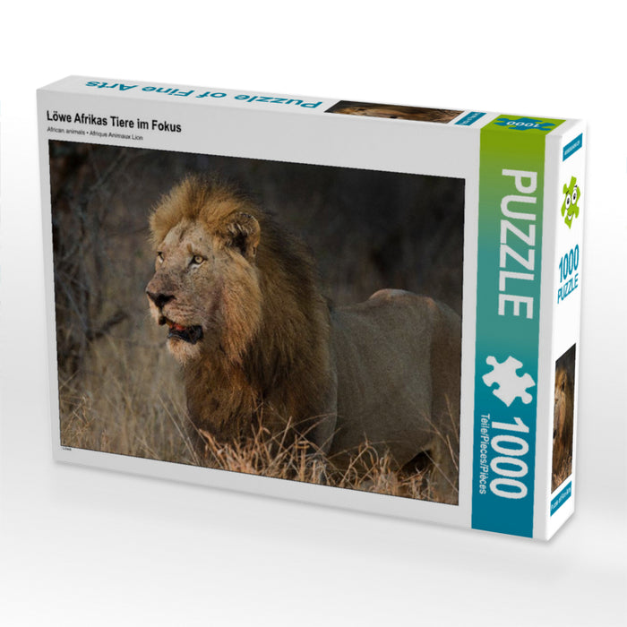 Lion d'Afrique Animaux en bref - Puzzle photo CALVENDO 