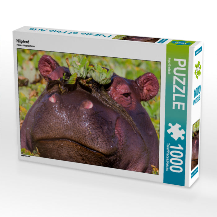 Nilpferd - CALVENDO Foto-Puzzle - calvendoverlag 79.99