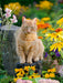 Roter Gartentiger zwischen Sommerblumen - CALVENDO Foto-Puzzle - calvendoverlag 33.99