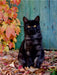 Niedliches Kätzchen mit rotem Weinlaub - CALVENDO Foto-Puzzle - calvendoverlag 33.99