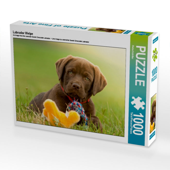 Labrador Welpe - CALVENDO Foto-Puzzle - calvendoverlag 29.99