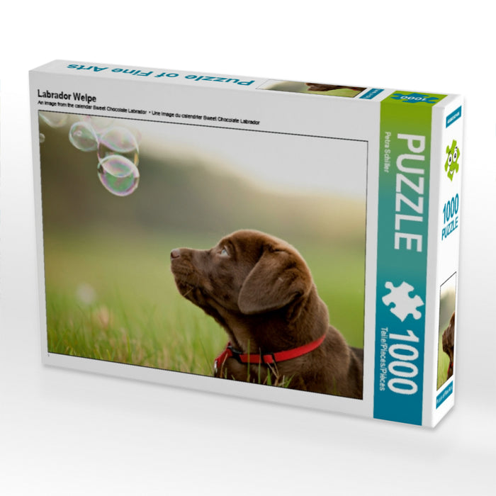 Labrador Welpe - CALVENDO Foto-Puzzle - calvendoverlag 29.99