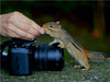 Foto nur gegen Vorkasse - CALVENDO Foto-Puzzle - calvendoverlag 29.99