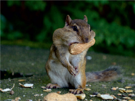 Weihnachten kann kommen - CALVENDO Foto-Puzzle - calvendoverlag 29.99