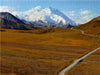 Denali Nationalpark und Mt.Denali - CALVENDO Foto-Puzzle - calvendoverlag 29.99