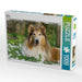 Collie - CALVENDO Foto-Puzzle - calvendoverlag 34.99