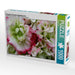 Pelargonie Rosebud Appleblossom - CALVENDO Foto-Puzzle - calvendoverlag 29.99