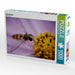 Schwebfliege - CALVENDO Foto-Puzzle - calvendoverlag 29.99