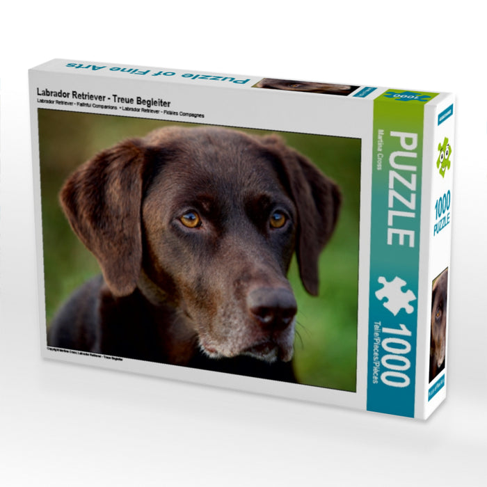 Labrador Retriever - Treue Begleiter - CALVENDO Foto-Puzzle - calvendoverlag 29.99