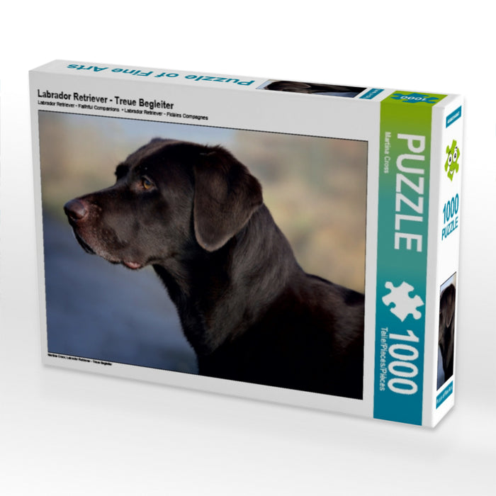 Labrador Retriever - Treue Begleiter - CALVENDO Foto-Puzzle - calvendoverlag 29.99
