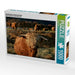 Schottisches Hochland Rind - CALVENDO Foto-Puzzle - calvendoverlag 29.99