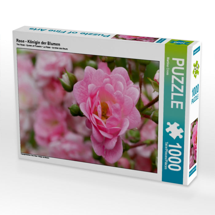 Rose - Königin der Blumen - CALVENDO Foto-Puzzle - calvendoverlag 29.99