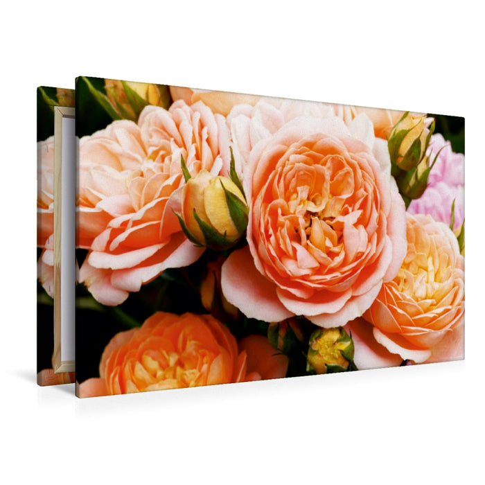 Toile textile premium Toile textile premium 120 cm x 80 cm paysage roses en abricot 
