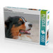 Australian Shepherd - CALVENDO Foto-Puzzle - calvendoverlag 29.99