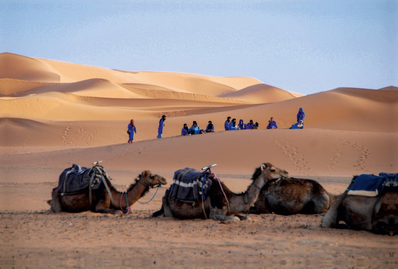 Premium Textil-Leinwand Premium Textil-Leinwand 120 cm x 80 cm quer Beduinen und ihre Kamele in der Westsahara/Marokko