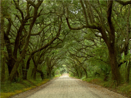 Oak Alley, Botany Bay, Ediston Island, South Carolina, USA - CALVENDO Foto-Puzzle - calvendoverlag 29.99