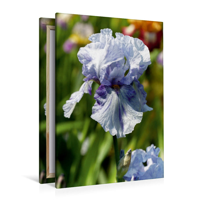 Toile textile premium Toile textile premium 80 cm x 120 cm de haut Fleurs d'iris oniriques 
