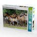 Dülmener Wildpferde Herde mit Fohlen im Trab - CALVENDO Foto-Puzzle - calvendoverlag 33.99