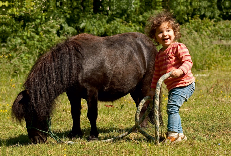 Premium Textil-Leinwand Premium Textil-Leinwand 120 cm x 80 cm quer Kinderfreude mit Shetlandpony