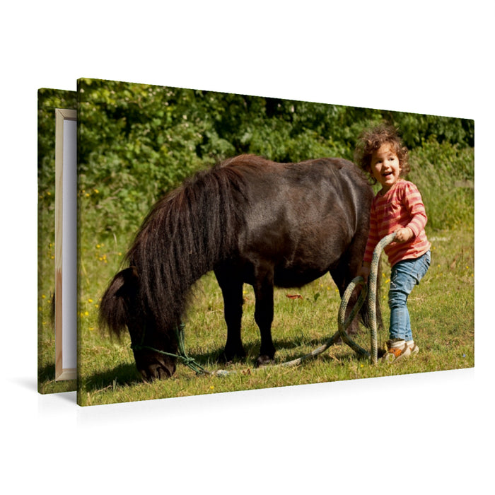 Premium Textil-Leinwand Premium Textil-Leinwand 120 cm x 80 cm quer Kinderfreude mit Shetlandpony