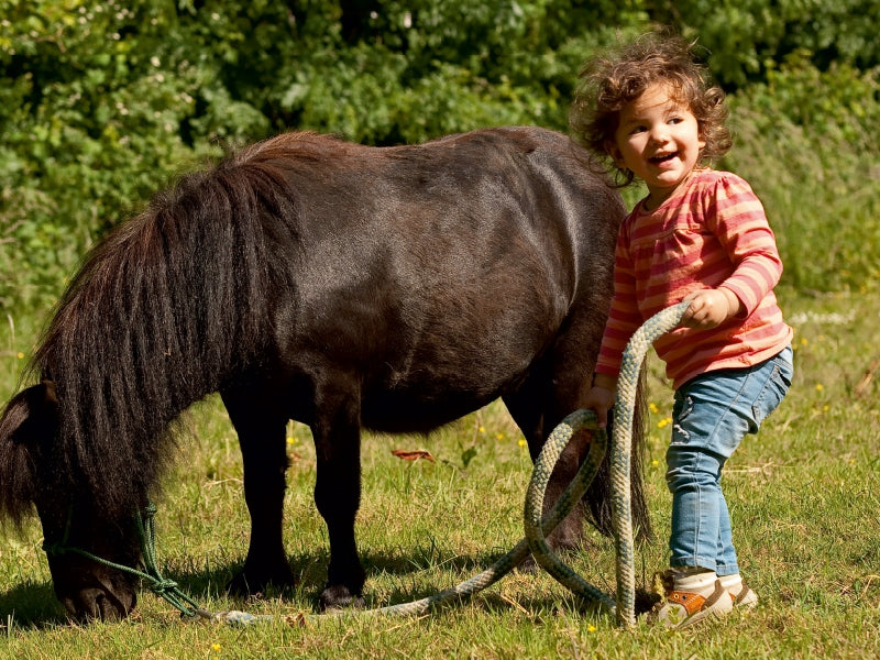 Kinderfreude mit Shetlandpony - CALVENDO Foto-Puzzle - calvendoverlag 29.99