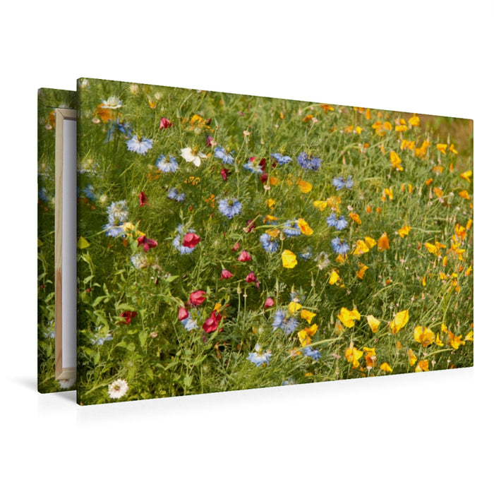 Premium Textil-Leinwand Premium Textil-Leinwand 120 cm x 80 cm quer Wildblumen für Bienen mit Goldmohn und Junger im Grünen