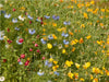 Wildblumen für Bienen mit Goldmohn und Junger im Grünen - CALVENDO Foto-Puzzle - calvendoverlag 29.99