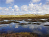 Dünen am Radweg nach Hvide Sande - CALVENDO Foto-Puzzle - calvendoverlag 29.99