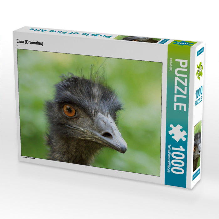 Emu (Dromaius) - CALVENDO Foto-Puzzle - calvendoverlag 29.99