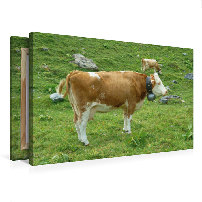 Premium Textil-Leinwand Premium Textil-Leinwand 75 cm x 50 cm quer Kühe auf der schweizer Alm
