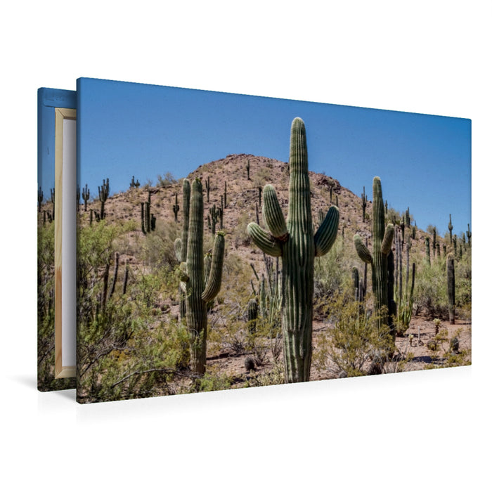 Premium Textil-Leinwand Premium Textil-Leinwand 120 cm x 80 cm quer ARIZONA Sonora Wüste