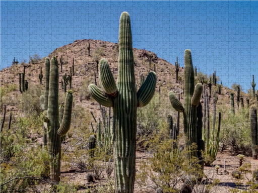 ARIZONA Sonora Wüste - CALVENDO Foto-Puzzle - calvendoverlag 29.99