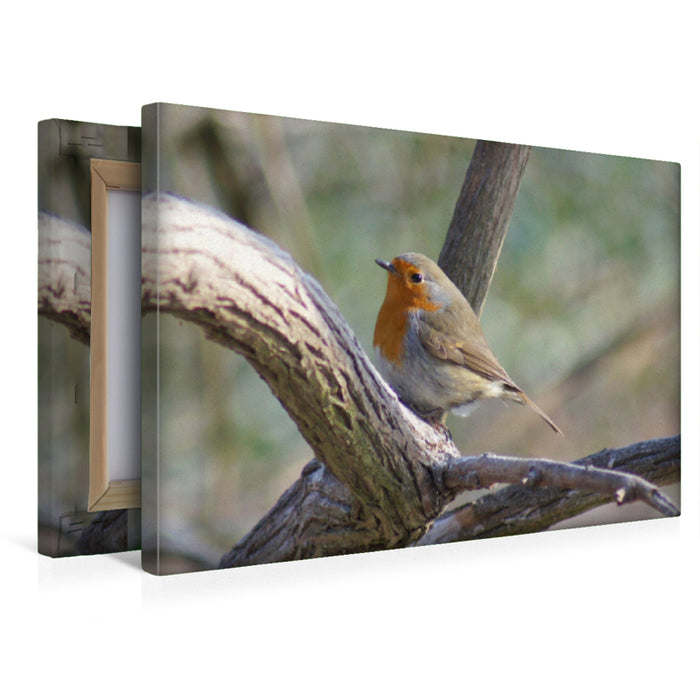 Premium textile canvas Premium textile canvas 45 cm x 30 cm landscape robin 