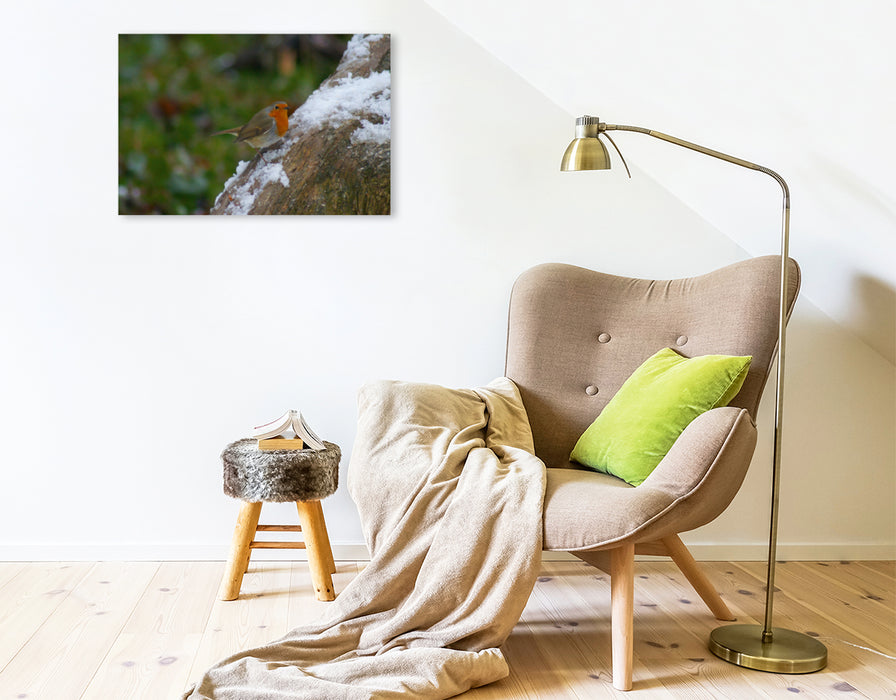 Toile textile premium Toile textile premium 75 cm x 50 cm paysage Robin en hiver 