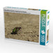 Feldsandläufer (Cicindela campestris) bei der Paarung - CALVENDO Foto-Puzzle - calvendoverlag 29.99