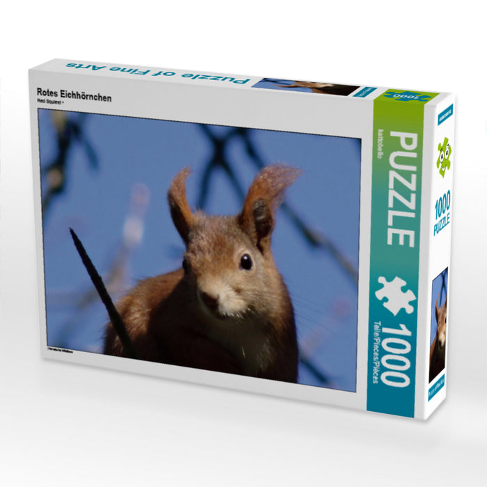 Rotes Eichhörnchen - CALVENDO Foto-Puzzle - calvendoverlag 29.99