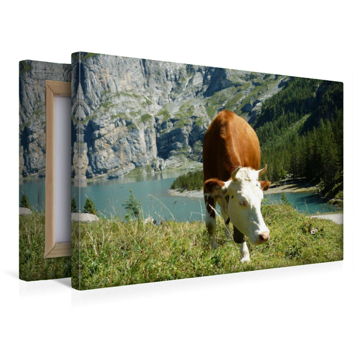 Premium Textil-Leinwand Premium Textil-Leinwand 45 cm x 30 cm quer Kuh vorm Öschinensee