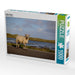 Sylter Schaf - CALVENDO Foto-Puzzle - calvendoverlag 29.99