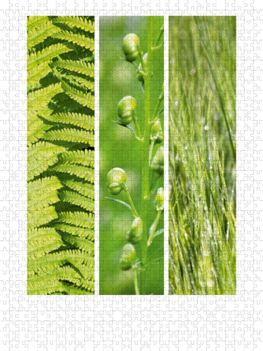 Natural Trios - Grüne Blätter - CALVENDO Foto-Puzzle - calvendoverlag 29.99