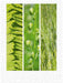 Natural Trios - Grüne Blätter - CALVENDO Foto-Puzzle - calvendoverlag 29.99