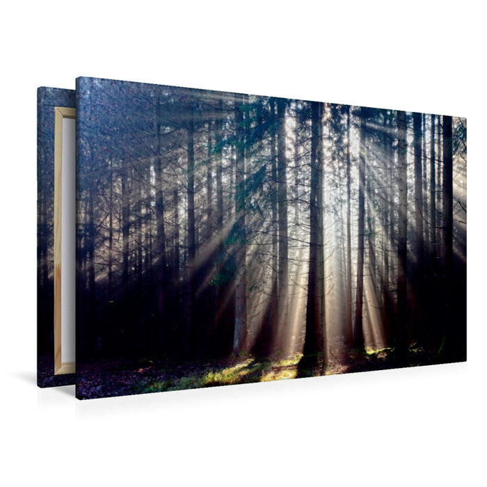 Premium Textil-Leinwand Premium Textil-Leinwand 120 cm x 80 cm quer Sonnenstrahlen im Wald