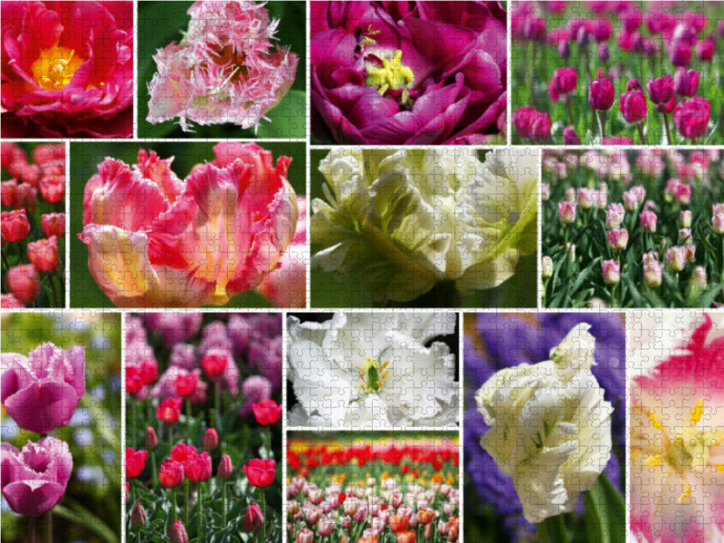 Tulpen Collage - CALVENDO Foto-Puzzle - calvendoverlag 29.99