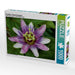 Passiflora "Kaiserin Eugenie" - CALVENDO Foto-Puzzle - calvendoverlag 29.99