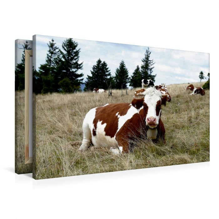 Premium Textil-Leinwand Premium Textil-Leinwand 90 cm x 60 cm quer Ein Motiv aus dem Kalender Schwarzwald und Kühe im Hochformat